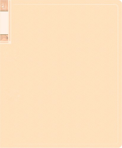 Папка с 40 прозр.вклад. Бюрократ Gems GEM40CREAM A4 пластик 0.7мм торц.карм с бум. встав кремовый жемчуг