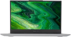 Ноутбук Digma Pro Fortis M Core i3 1215U 16Gb SSD256Gb Intel UHD Graphics 15.6" IPS FHD (1920x1080) Windows 11 Pro grey WiFi BT Cam 4250mAh (DN15P3-ACXW01)