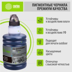 - Cactus CS-GI41PGBK