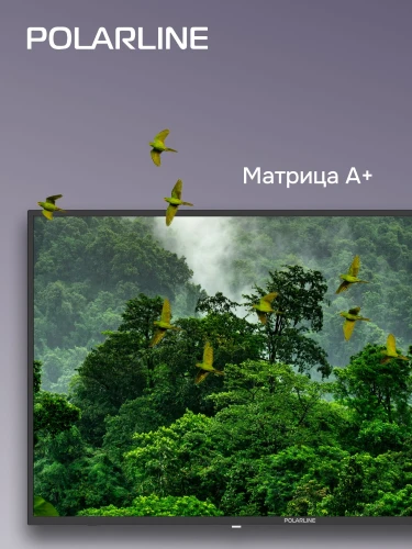 Телевизор LED PolarLine 43" 43PL51TC черный FULL HD 60Hz DVB-T DVB-T2 DVB-C USB (RUS)