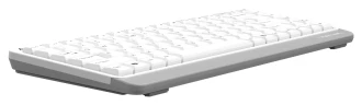 Клавиатура A4Tech Fstyler FKS11 белый/серый USB (FKS11 WHITE)