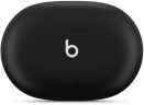 Гарнитура внутриканальные Beats Studio Buds True Wireless Noise Cancelling черный беспроводные bluetooth в ушной раковине (MJ4X3EE/A)