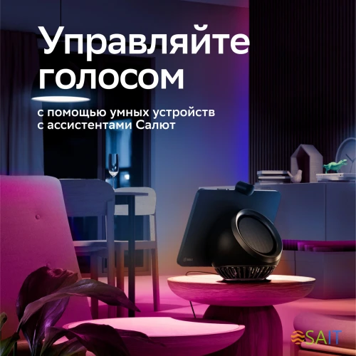 Удлинитель умных светодиодных лент Sber SBDV-00038
