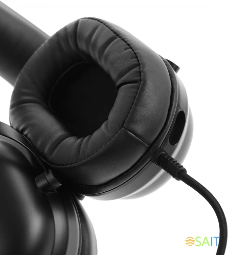 Наушники с микрофоном Acer AHW122 черный 2.1м мониторные USB оголовье (ZL.HDSCC.01U)