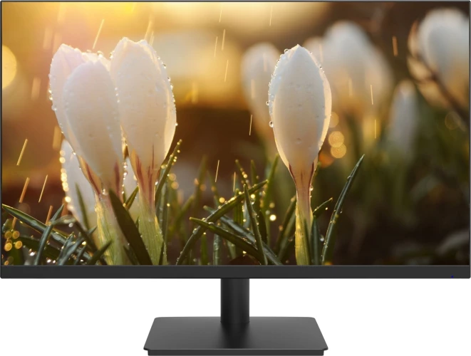 Монитор Dahua 23.8" DHI-LM24-A201H черный IPS LED 5ms 16:9 HDMI M/M матовая 1000:1 250cd 178гр/178гр 1920x1080 100Hz VGA DP FHD 3.1кг