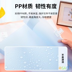 Папка-портфель Deli 5880 на кнопке 13 отдел. A4 полипропилен ассорти