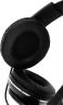 Наушники с микрофоном Sven AP-930M черный/серебристый 1.3м мониторные оголовье (SV-013608)