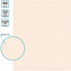 Папка на 2-х кольцах Бюрократ DeLuxe DL0740/2MILK A4 пластик 0.7мм кор.32мм молочный