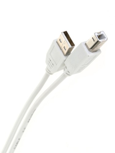 Кабель Telecom USB 2.0 Type-AM - USB 2.0 Type-BM 5м