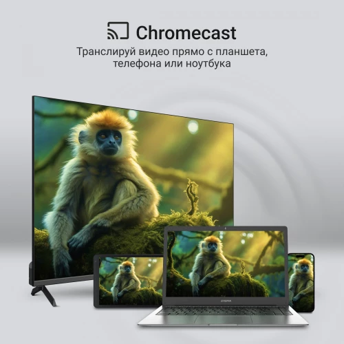 Телевизор QLED Digma 65" DM-LED65UQB31 Google TV Frameless Metal черный/черный 4K Ultra HD 60Hz MEMC DVB-T DVB-T2 DVB-C DVB-S DVB-S2 USB WiFi Smart TV