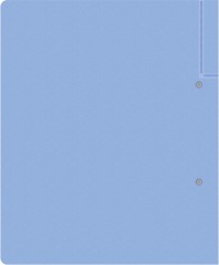 Папка на 2-х D-кольцах Бюрократ Gems GEM0812/2RAZURE A4 пластик 0.7мм кор.32мм торц.карм с бум. встав голубой топаз