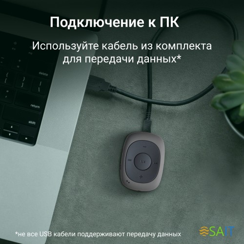 Плеер Flash Digma C2L 4Gb серый/FM/clip