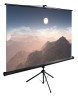 Экран Cactus 100" 180x180см TriExpert CS-PSTE-180x180-BK 1:1 напольный рулонный черный