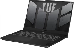 Ноутбук Asus TUF Gaming A17 FA707NV-HX064 Ryzen 5 7535HS 16Gb SSD1Tb NVIDIA GeForce RTX4060 8Gb 17.3" IPS FHD (1920x1080) noOS grey WiFi BT Cam (90NR0E35-M003R0)