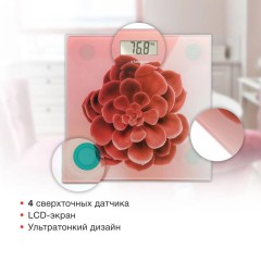 Весы напольные электронные Starwind SSP6041 макс.180кг рисунок