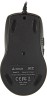 Мышь A4Tech V-Track F5 черный/рисунок оптическая 3000dpi USB 6but