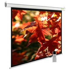 Экран Cactus 98" 150x200см SIlverMotoExpert CS-PSSME-200X150-WT 4:3 настенно-потолочный рулонный белый (моторизованный привод)
