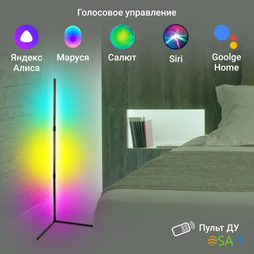 Умный светильник Digma FloorLight FL11 напол. черный (FL11)