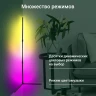Умный светильник Digma FloorLight FL11 напол. черный (FL11)