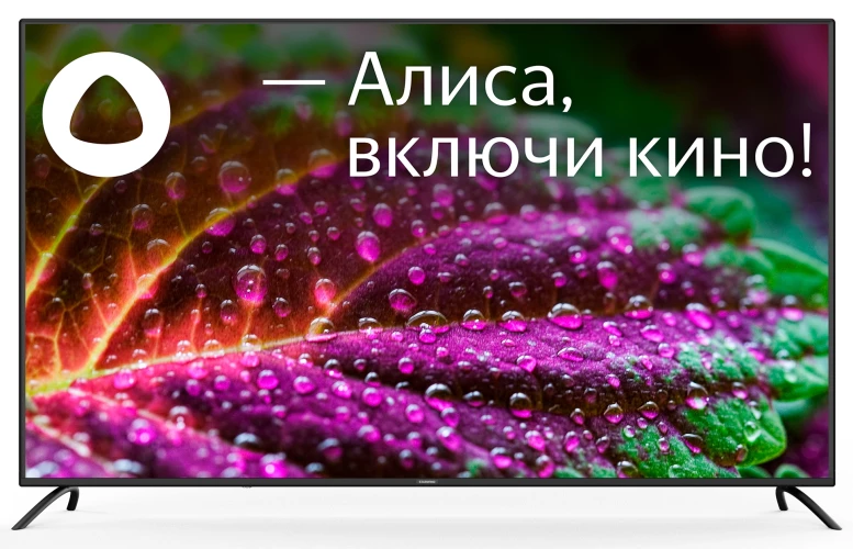 Телевизор LED Starwind 65" SW-LED65UG402 Яндекс.ТВ Frameless черный 4K Ultra HD 60Hz DVB-T DVB-T2 DVB-C DVB-S DVB-S2 USB WiFi Smart TV