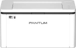 Принтер лазерный Pantum BP2300W A4 WiFi белый