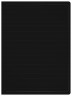 Папка с 20 прозр.вклад. Бюрократ DeLuxe DLV20BLCK A4 пластик 0.7мм черный