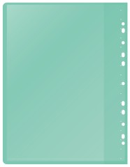 Папка-скоросшиватель Silwerhof 255123-04 A4 прозрач.верх.лист 30 вкладышей боков.перф. полипропилен зеленый