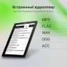 Электронная книга Digma F4 5.83" E-Ink 680x920 Touch Screen 1.2Ghz 1Gb/8Gb/SD/microSDHC/подсветка дисплея черный