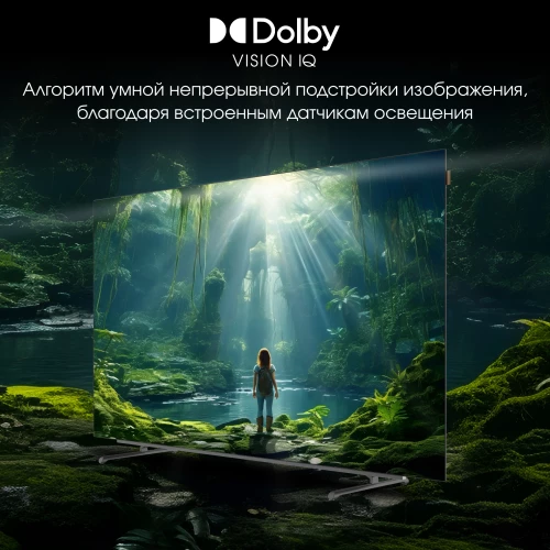 Телевизор OLED Digma Pro 55" OLED 55M Google TV Frameless черный/серебристый 4K Ultra HD 120Hz DVB-T DVB-T2 DVB-C DVB-S DVB-S2 USB WiFi Smart TV