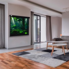 Экран Cactus 119" 213x213см Wallscreen CS-PSW-213X213-BK 1:1 настенно-потолочный рулонный черный