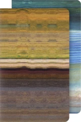 Блокнот Moleskine LIMITED EDITION CAHIER MUSEE D`ORSAY SKCAHL6911S3NL Large 130х210мм обложка картон 120стр. нелинованный мягкая обложка синий/коричневый (2шт)