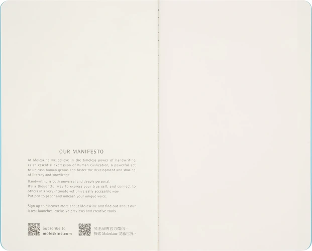 Блокнот Moleskine LIMITED EDITION CAHIER MUSEE D`ORSAY SKCAHL6911S3NL Large 130х210мм обложка картон 120стр. нелинованный мягкая обложка синий/коричневый (2шт)