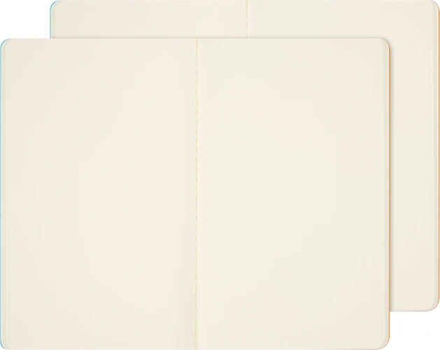 Блокнот Moleskine LIMITED EDITION CAHIER MUSEE D`ORSAY SKCAHL6911S3NL Large 130х210мм обложка картон 120стр. нелинованный мягкая обложка синий/коричневый (2шт)