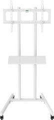 Стойка для телевизора Cactus CS-ST04 белый 37"-70" макс.68кг напольный мобильный