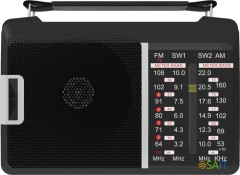 Радиоприемник портативный Ritmix RPR-190 черный