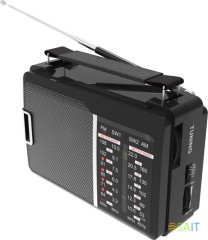Радиоприемник портативный Ritmix RPR-190 черный