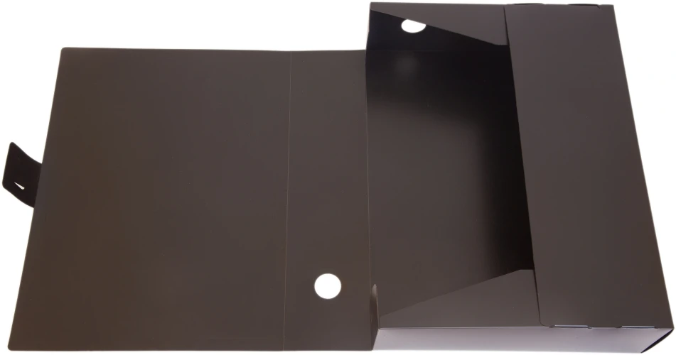 Короб архивный вырубная застежка Бюрократ -BA100/08BLCK пластик 0.8мм корешок 100мм 330x245мм черный