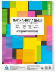 Папка-вкладыш Бюрократ Премиум 013BGPREM глянцевые A4+ 40мкм (упак.:100шт)
