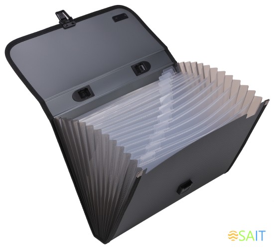 Папка-портфель Deli Extend E5556 12 отдел. A4 полипропилен 1.05мм ассорти