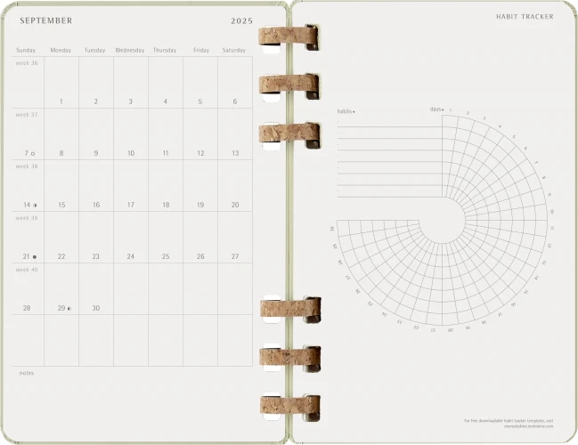 Еженедельник Moleskine ACADEMIC SPIRAL Large 150х210мм 200стр. спираль киви