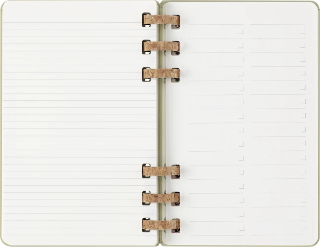 Еженедельник Moleskine ACADEMIC SPIRAL Large 150х210мм 200стр. спираль киви