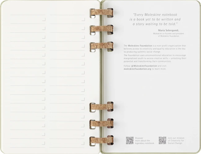 Еженедельник Moleskine ACADEMIC SPIRAL Large 150х210мм 200стр. спираль киви