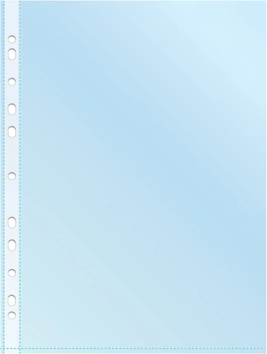 Папка-вкладыш Silwerhof Daily SD-CL ассорти глянцевые A4+ полипропилен 30мкм (упак.:50шт)