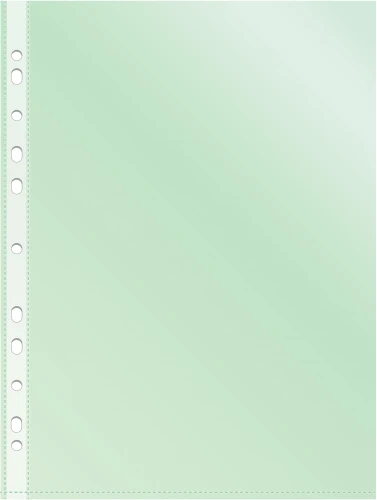 Папка-вкладыш Silwerhof Daily SD-CL ассорти глянцевые A4+ полипропилен 30мкм (упак.:50шт)