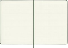 Блокнот Moleskine CLASSIC QP093K15 XLarge 190х250мм 192стр. пунктир твердая обложка зеленый