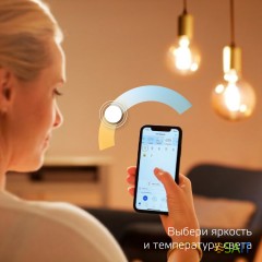 Умная лампа Gauss Smart Home C35 E14 4.5Вт 495lm Wi-Fi (1250112)