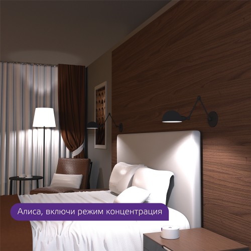 Умная лампа Gauss Smart Home C35 E14 4.5Вт 495lm Wi-Fi (1250112)