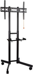 Подставка для телевизора Arm Media PT-STAND-7 черный 32"-80" макс.50кг напольный фиксированный