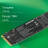 Накопитель SSD Digma PCIe 3.0 x4 256GB DGSM3256GM23T Mega M2 M.2 2280
