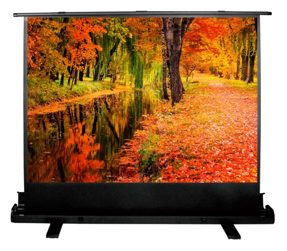 Экран Cactus 98" 150x200см FloorExpert CS-PSFLE-200X150 4:3 напольный рулонный